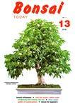 Bonsai Today 13 - Out of Print - Rare