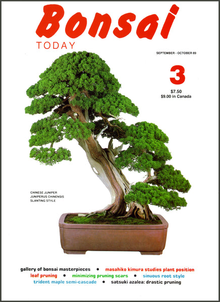 Bonsai Today 3 - Out of Print - Rare – Stone Lantern