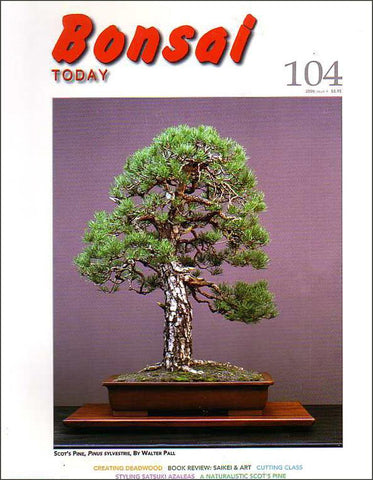 Bonsai Today 104 - Out of Print - Rare