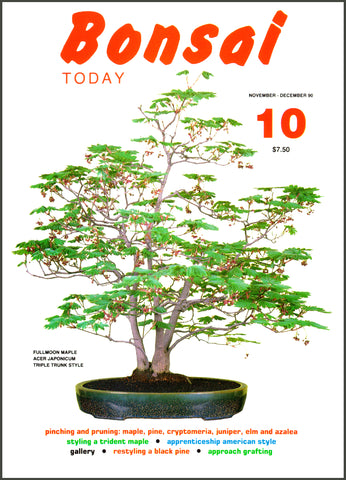 Bonsai Today 10- Out of Print - Rare