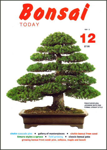 Bonsai Today 12 - Out of Print - Rare