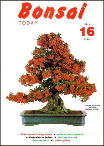 Bonsai Today 16 - Out of Print - Rare