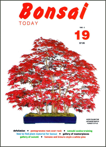 Bonsai Today 19 - Out of Print - Rare