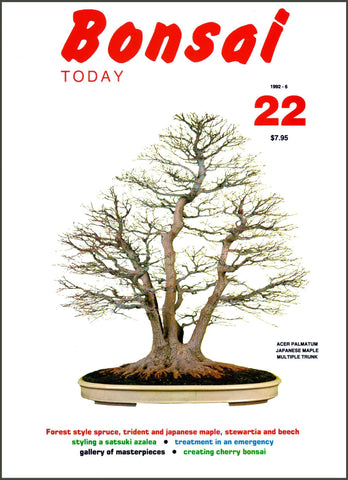 Bonsai Today 22 - Out of Print - Rare