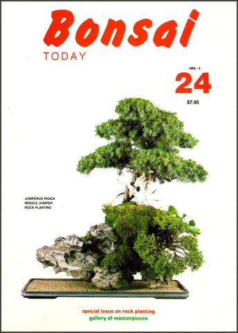 Bonsai Today 24 - Out of Print - Rare