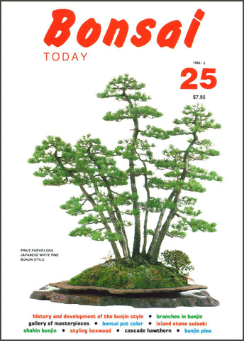 Bonsai Today 25 - Out of Print - Rare