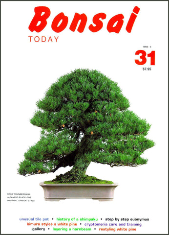 Bonsai Today 31 - Out of Print - Rare