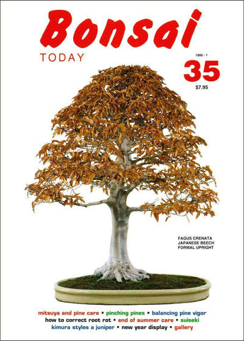 Bonsai Today 35 - Out of Print - Rare