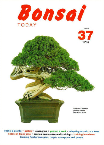 Bonsai Today 37 - Out of Print - Rare