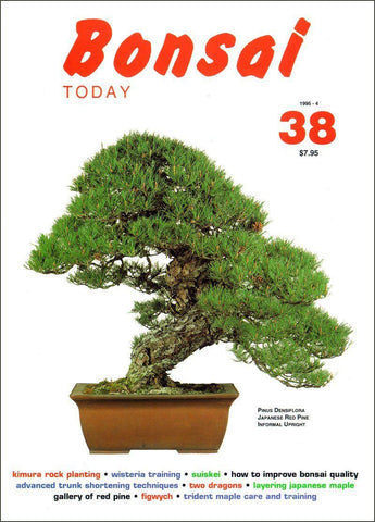 Bonsai Today 38 - Out of Print - Rare