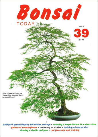 Bonsai Today 39 - Out of Print - Rare