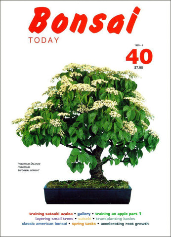 Bonsai Today 40 - Out of Print - Rare