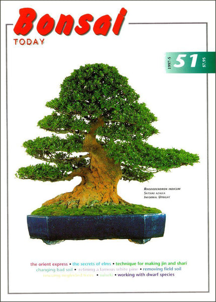 Bonsai Today 51 - Out of Print - Rare – Stone Lantern