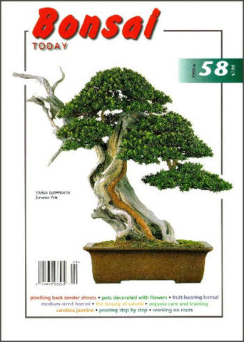 Bonsai Today 58 -  Limited Issues Left In Stock