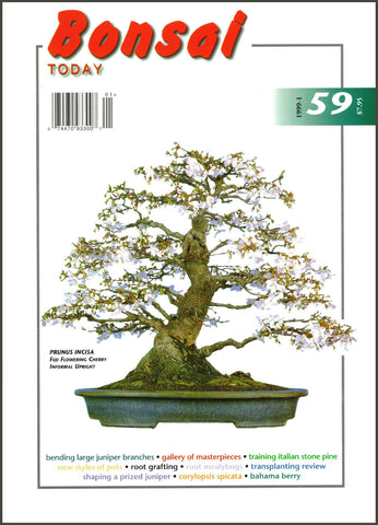 Bonsai Today 59 - Out of Print - Rare