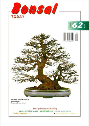 Bonsai Today 62 - Out of Print - Rare