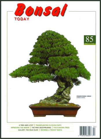 Bonsai Today 85 - Out of Print - Rare