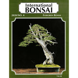 International Bonsai - 2020 No 4 - Limited Back Issues