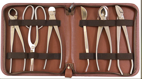 Roshi 6 Piece Stainless Tool Kit with Zippered Case