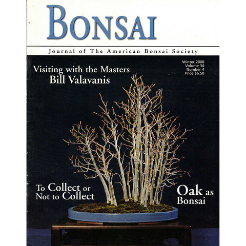 Bonsai - Journal of The American Bonsai Society - Winter 2000  - Limited Back Issues