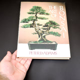 The Art Of Bonsai - Out of Print