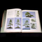 The Art Of Bonsai - Out of Print