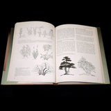 The Art Of Bonsai - Out of Print