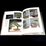 The Art Of Bonsai - Out of Print