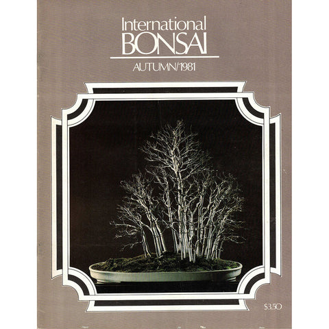 International Bonsai - Autumn 1981 - Out of Print