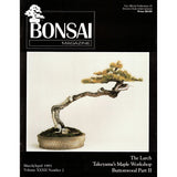 Bonsai Magazine - Bonsai Clubs International - March-April 1993 - Limited Back Issues