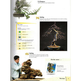 Bonsai Focus Magazine - 2007 No 4 - Limited  Back Issues In Stock