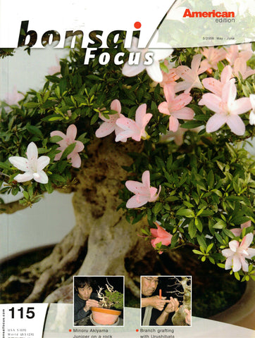 Bonsai Focus Magazine - 2008 No 3 - Limited  Back Issues In Stock