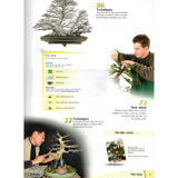 Bonsai Focus Magazine - 2008 No 3 - Limited  Back Issues In Stock