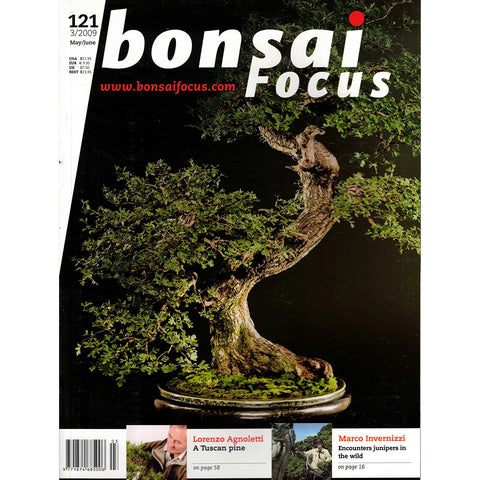 Bonsai Focus Magazine - 2009 No 3 - Limited  Back Issues In Stock