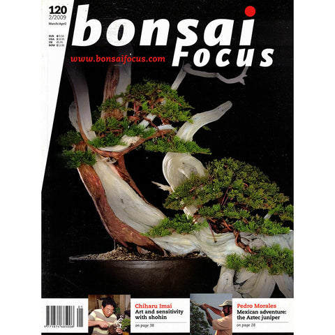 Bonsai Focus Magazine - 2009 No 2 - Limited  Back Issues In Stock