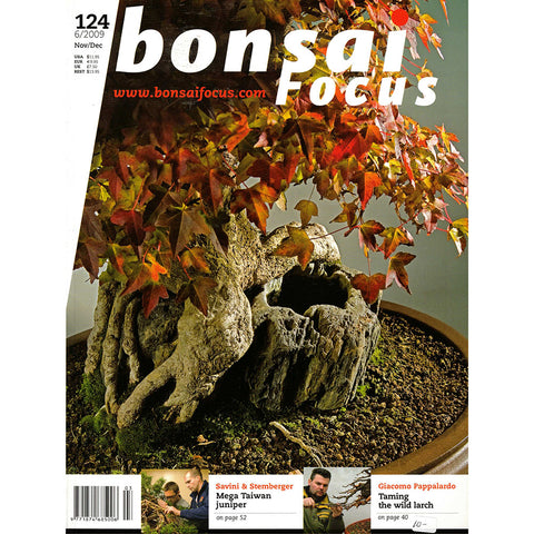 Bonsai Focus Magazine - 2009 No 6 - Limited  Back Issues In Stock