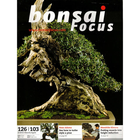 Bonsai Focus Magazine - 2010 No 2 - Limited  Back Issues In Stock