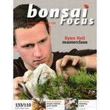 Bonsai Focus Magazine - 2011 No 3 - Limited  Back Issues In Stock