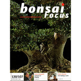 Bonsai Focus Magazine - 2010 No 6 - Limited  Back Issues In Stock