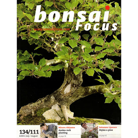 Bonsai Focus Magazine - 2011 No 4 - Limited  Back Issues In Stock