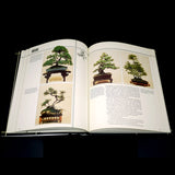 Bonsai The Art Of Growing And Keeping Miniature Trees - Out of Print