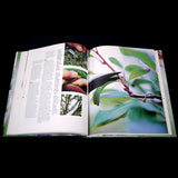 Bonsai: a Care Manual - Out of Print