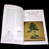 Bonsai Basics: A Step-by-Step Guide to Growing, Training & General Care - Out Of Print