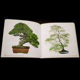 Bonsai Today's Pocket Bonsai Gallery - Out of Print