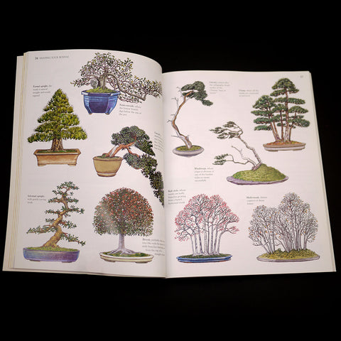 bonsai tree john lewis How-to Bonsai tree care, Bonsai Survival Manual – Stone Lantern