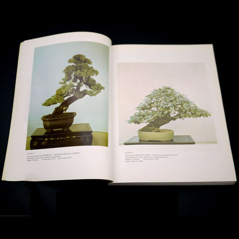 bonsai tree techniques How-to Bonsai tree care, Bonsai Survival Manual – Stone Lantern