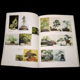 Bonsai With American Trees - Out of Print