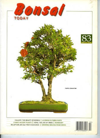 Bonsai Today 83 - Out of Print - Rare