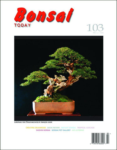 Bonsai Today 103 - Out of Print - Rare