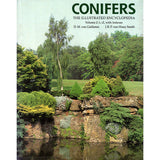 Conifers: The Illustrated Encyclopedia; Vol 2 L-Z - Out of Print